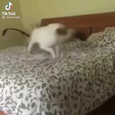 Nice sheets you got here...