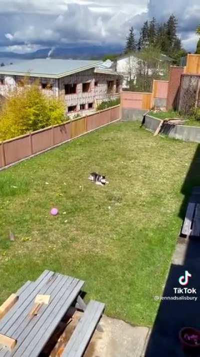 When your not allowed inside (sound on)