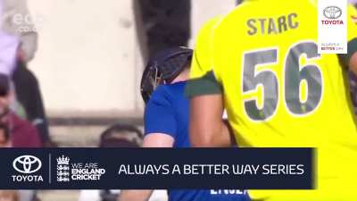 Eoin Morgan gets nasty concussion from Alyssa Healy's husband