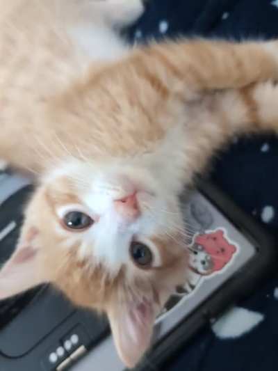 Happy Friday from Apollo