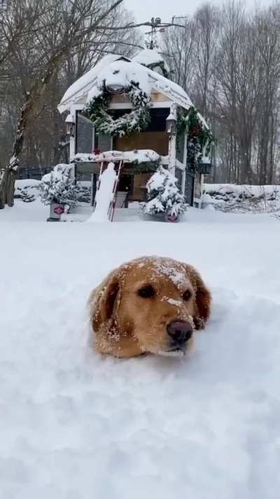 Is ok...I lick my way out