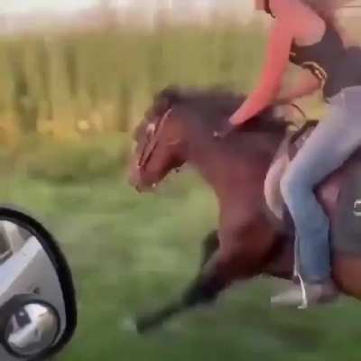 Когда АМО мой 