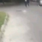 Man finds his dog on the street three years after losing him (happy Dog freak out)