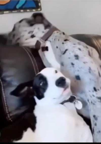 I don't want to play!!