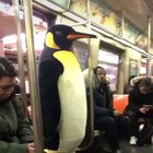 NYC is its own specie