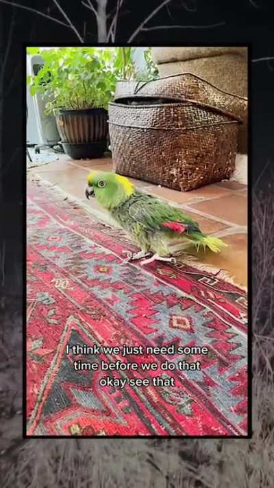 Don't trust that bird 