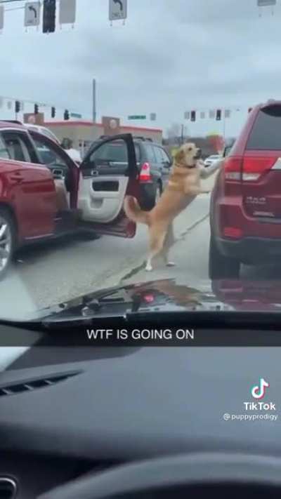 I felt so bad when I saw that poor old man gettin out