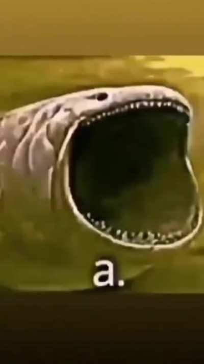 a.