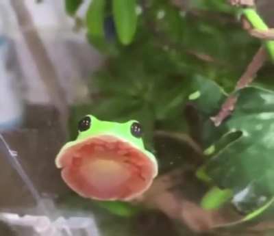 Let me just *blob* for you