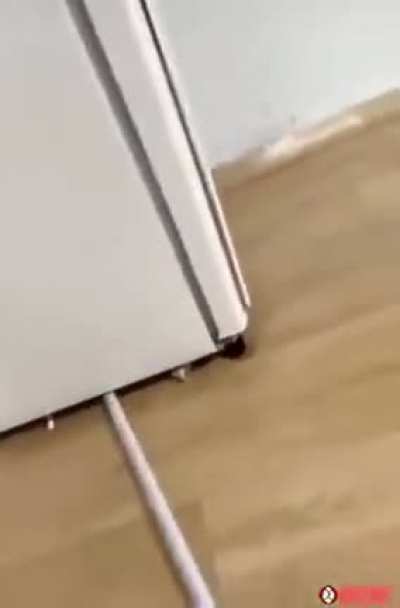 Wet mop vs fridge