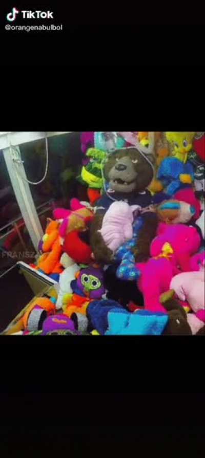 that's a cute bear