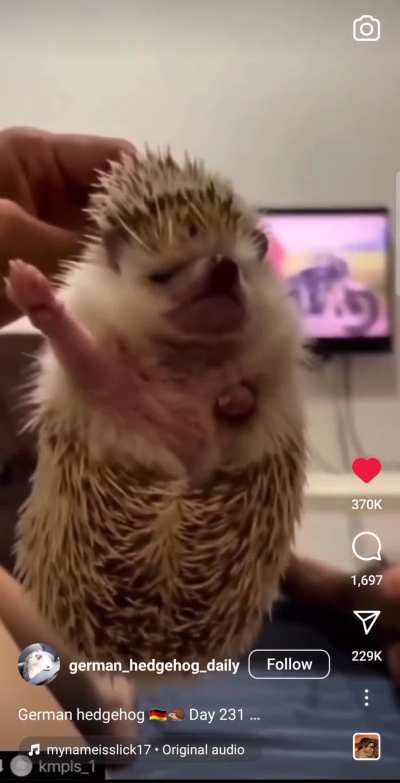 Hedgeposting
