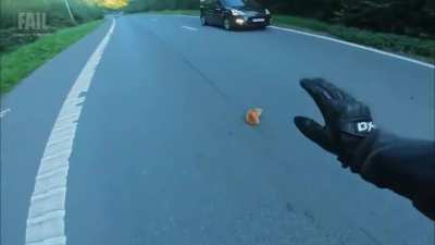 Biker spotted kitten in the middle of road and saved it