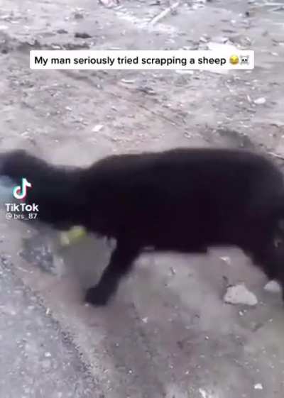 Бой века