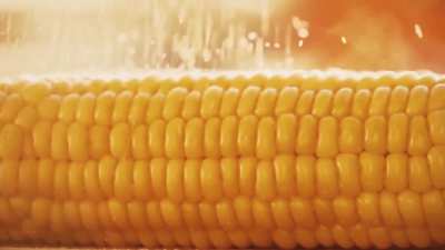 Come down today to try some CORN