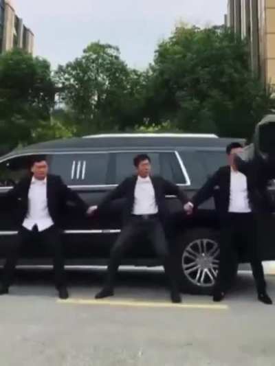 Professional security