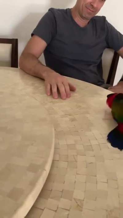 *hop*