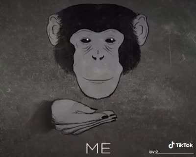 Monke