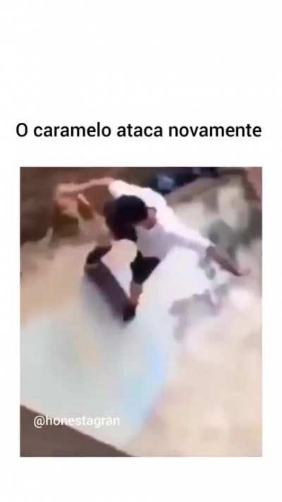 ccahoro