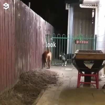 Helping a friend