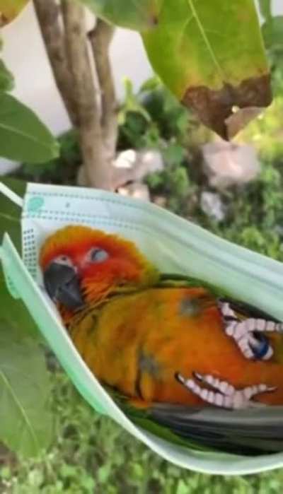 awwwwwwwwwwww