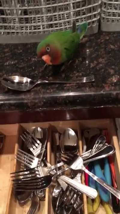 Birbi_Help