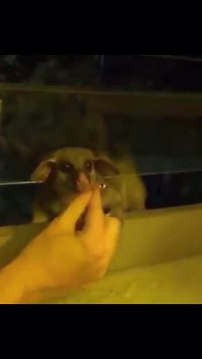 I’d do the same