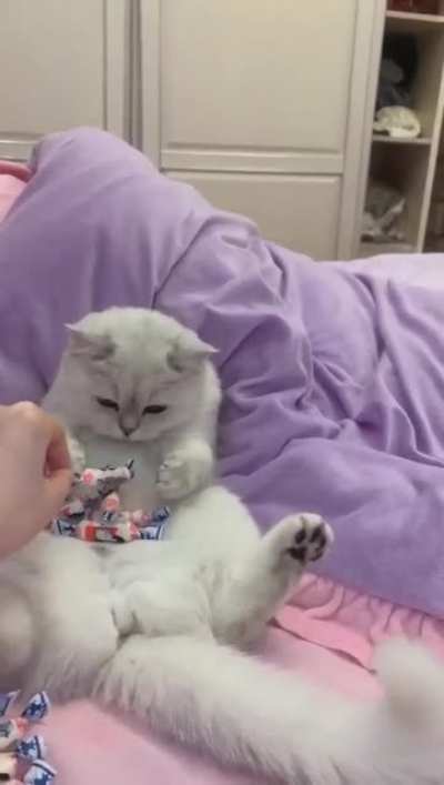 Hehe cute.