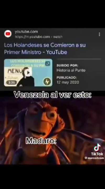 XD 