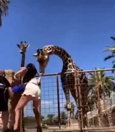 Get over here!