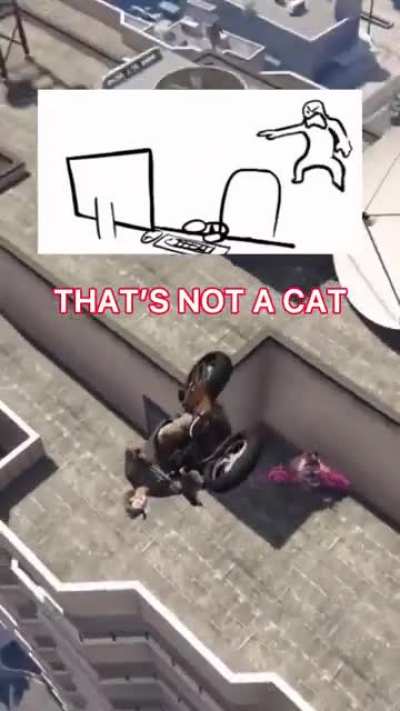 Meow!! WHAAA!