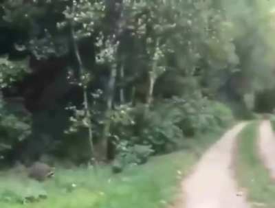 ra-king, master of racoons. (i don't know how to get the accents)