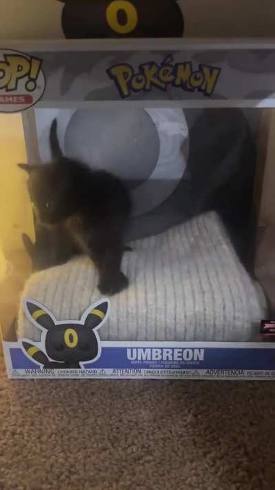 He hasn't evolved yet