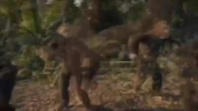 Monke