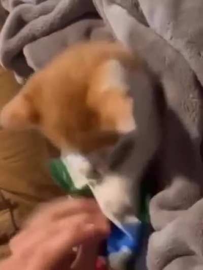 He didn’t wanna give up the treats