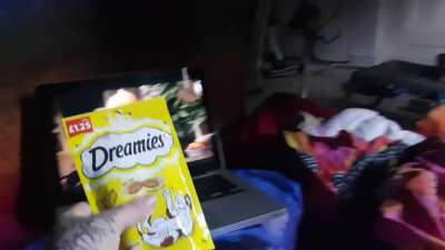 My starving vorts
