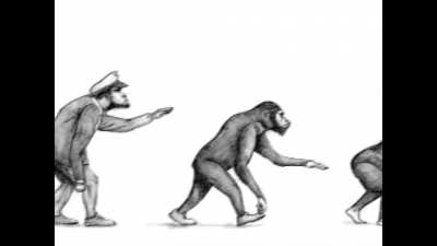 evolution