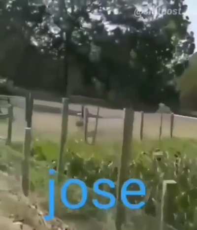 Jose 😎😎