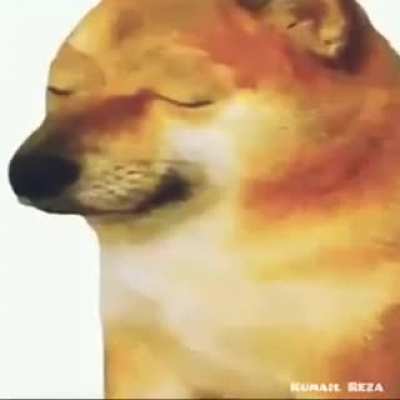 rule