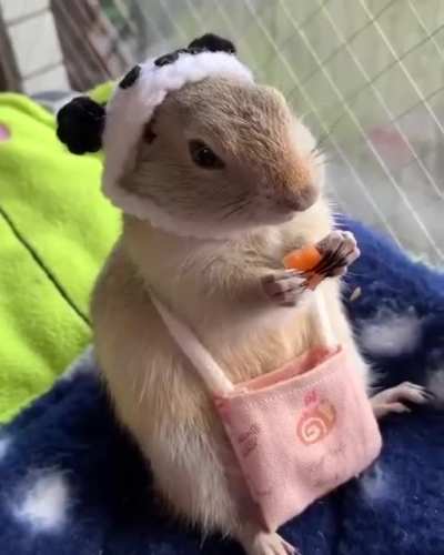 Incluso tiene su gorro de panda