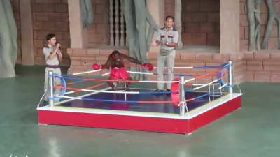 POV: Espectador del combate reven vs elmillor