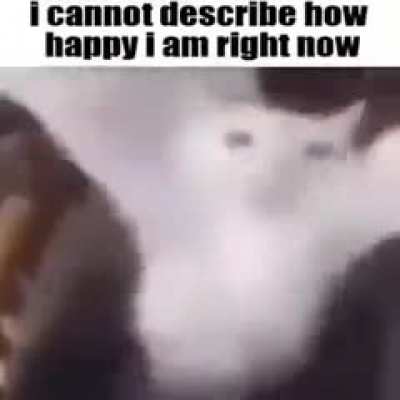 Minor case of adhd 