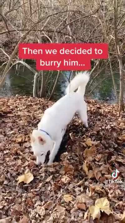 What a sad story (repost cause old one was removed due to my lazyness)