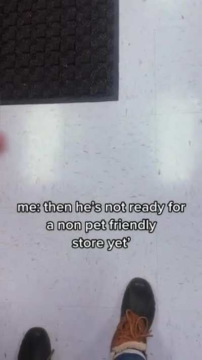Service dog vs 