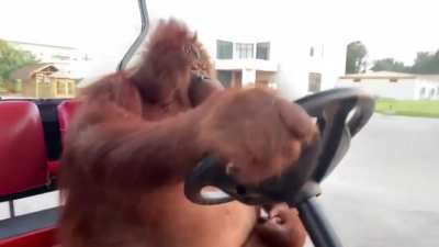driving