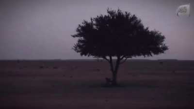 Rasulullah (ﷺ): “What do I have to do with this world? The likeness of me and this world is that of a traveller who seeks shade under a tree, then he moves on and leaves it.”