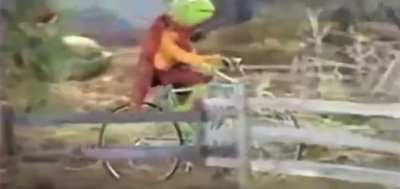 Kermit NOOO!