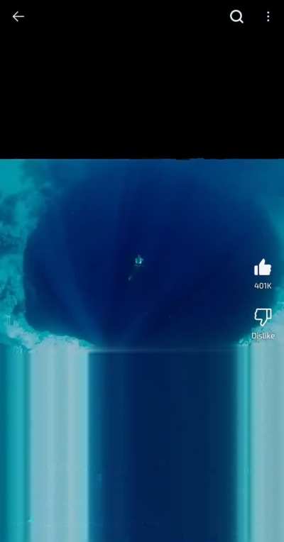 Chat new fish just dropped you know what that means