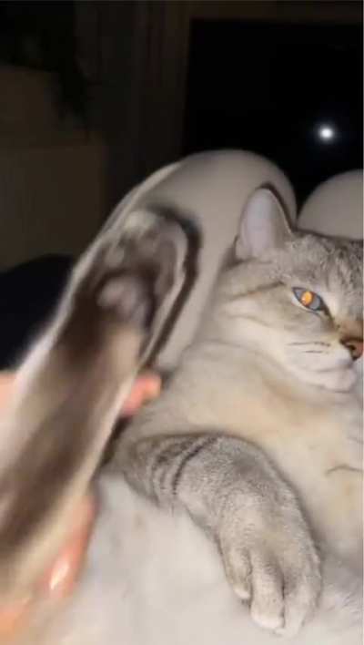 Meirl