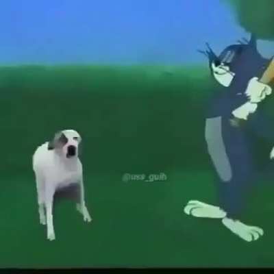 what